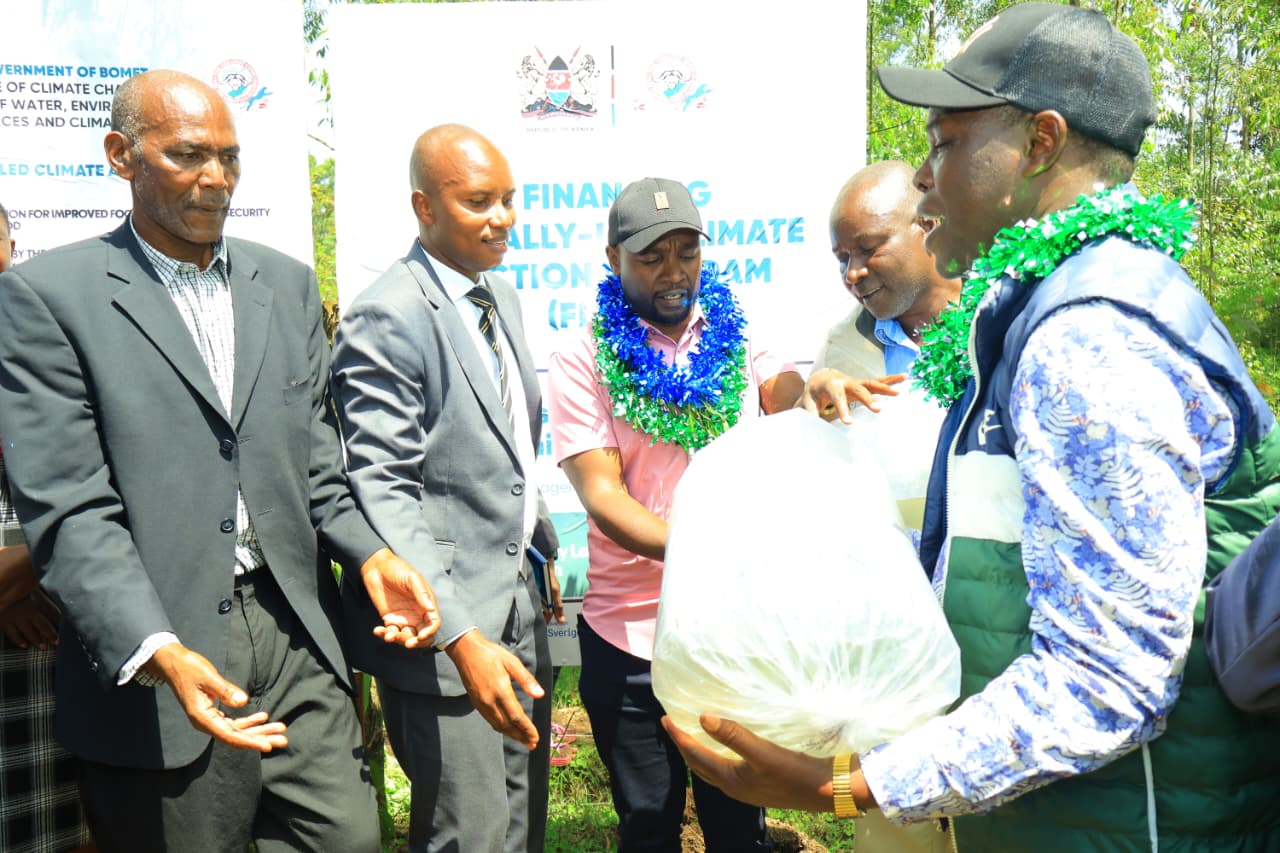 Tilapia project transforms livelihoods as farmers swap ploughs for ponds.