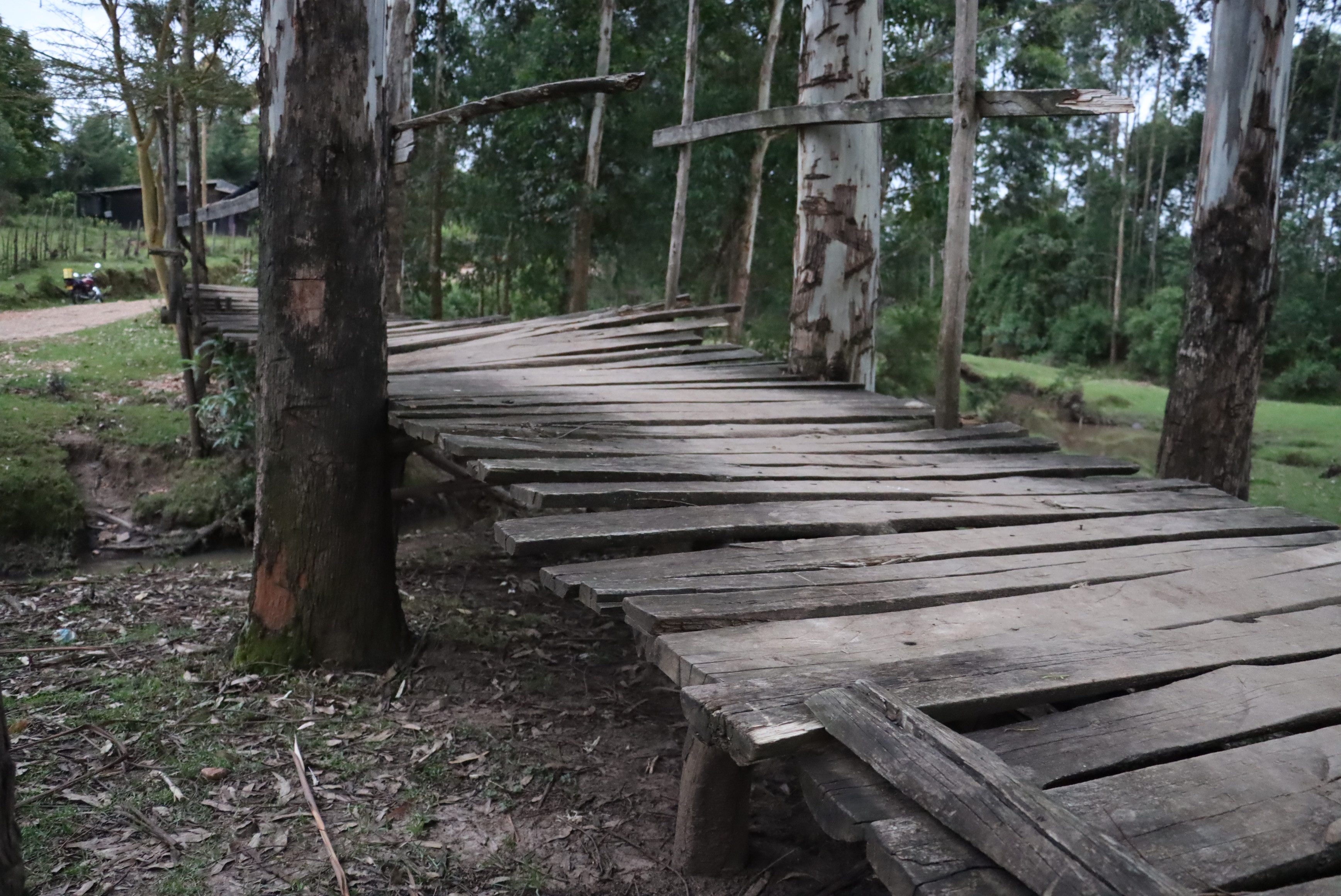 A rickety bridge that hundreds of Bomet University students rely on daily to access their residence and the campus. Studenst have raised safety concerns and demanded action from local leaders. Photo/Kipyegon Rono