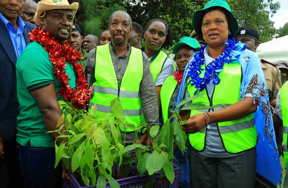 Bomet Governor Prof. Hillary Barchok distribute avocadop seedling to farmers in Bomet centrall