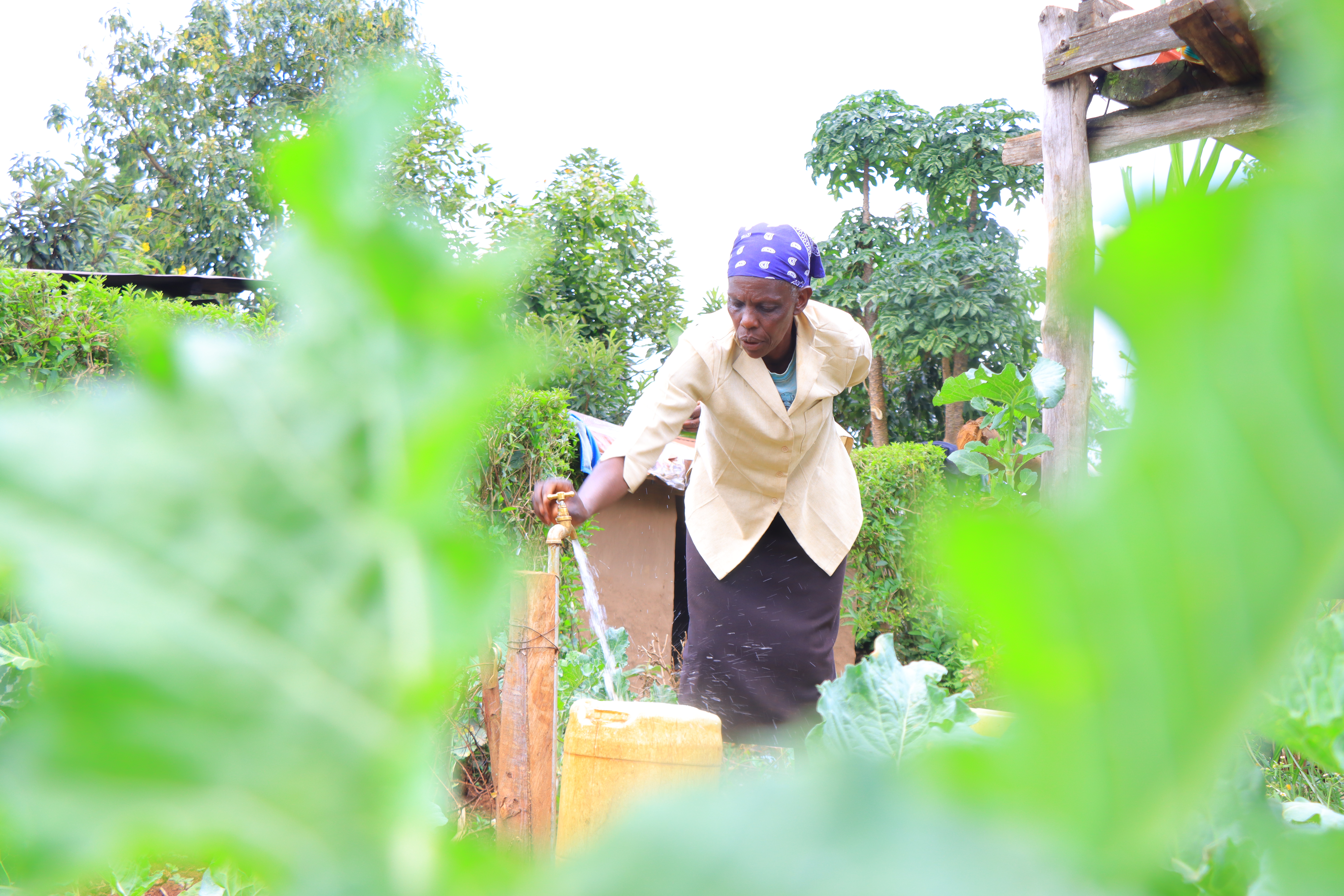 Solar-powered Water Project Ends Decades of Thirst for Bomet Residents