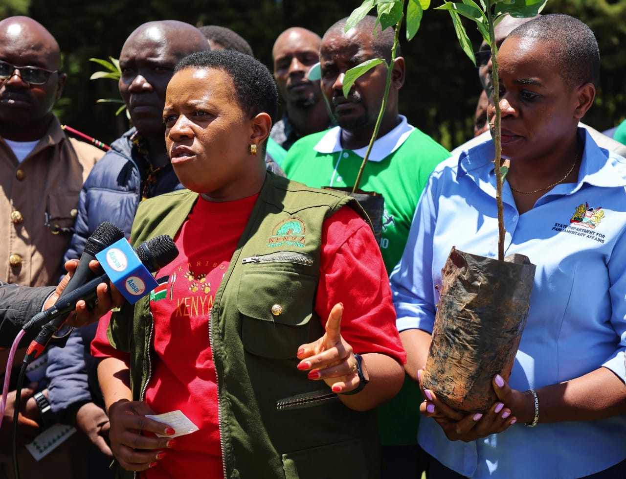 Dr Aurelia Rono address the press on the gains made by the country through tree planting drive launched by President William Ruto. Photo/Kimagata Marindany