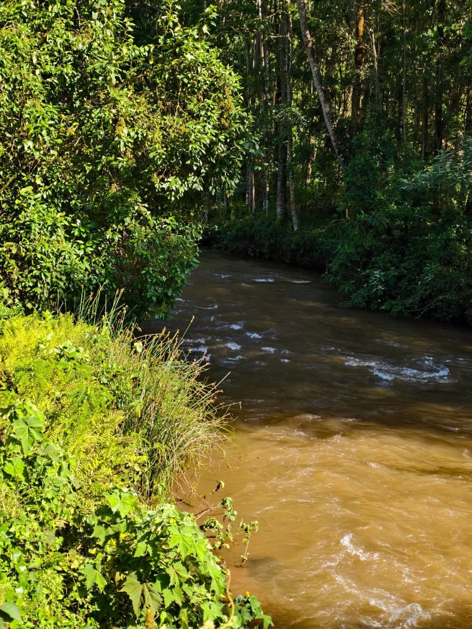 Itare River in Konoin. Kapkilaibei Deputy Principal Edward Too was found drown. members of the public stumble on teh body and alerted authorities. Photo/courtesy