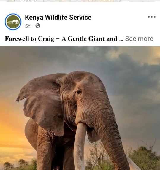 Kenya WildLife Service today annouced the death of iconic elephat marking the end of an era. Photo/file