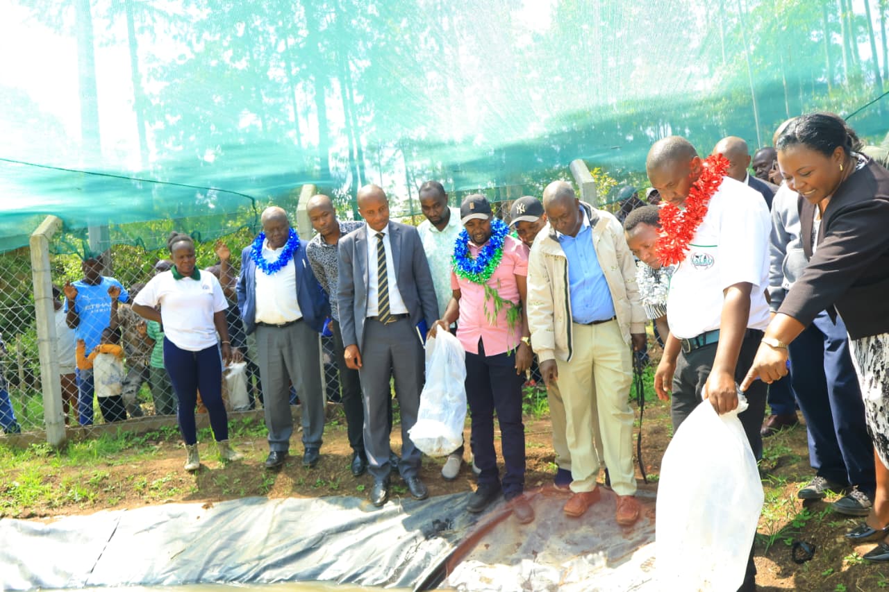 Bomet Governor leads teh stocking of a fish pond at Kaplong Village in Chemagel Ward. Photo/Kimagata Maridany