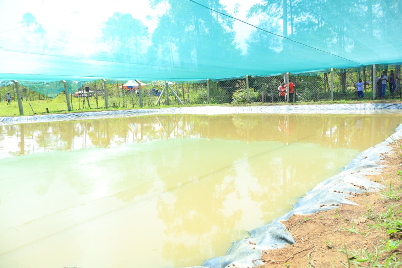 One of the fish ponds owned by Emaus CBo from Sotik that was recently stocked with fish. Photo/Kimagata Marindany