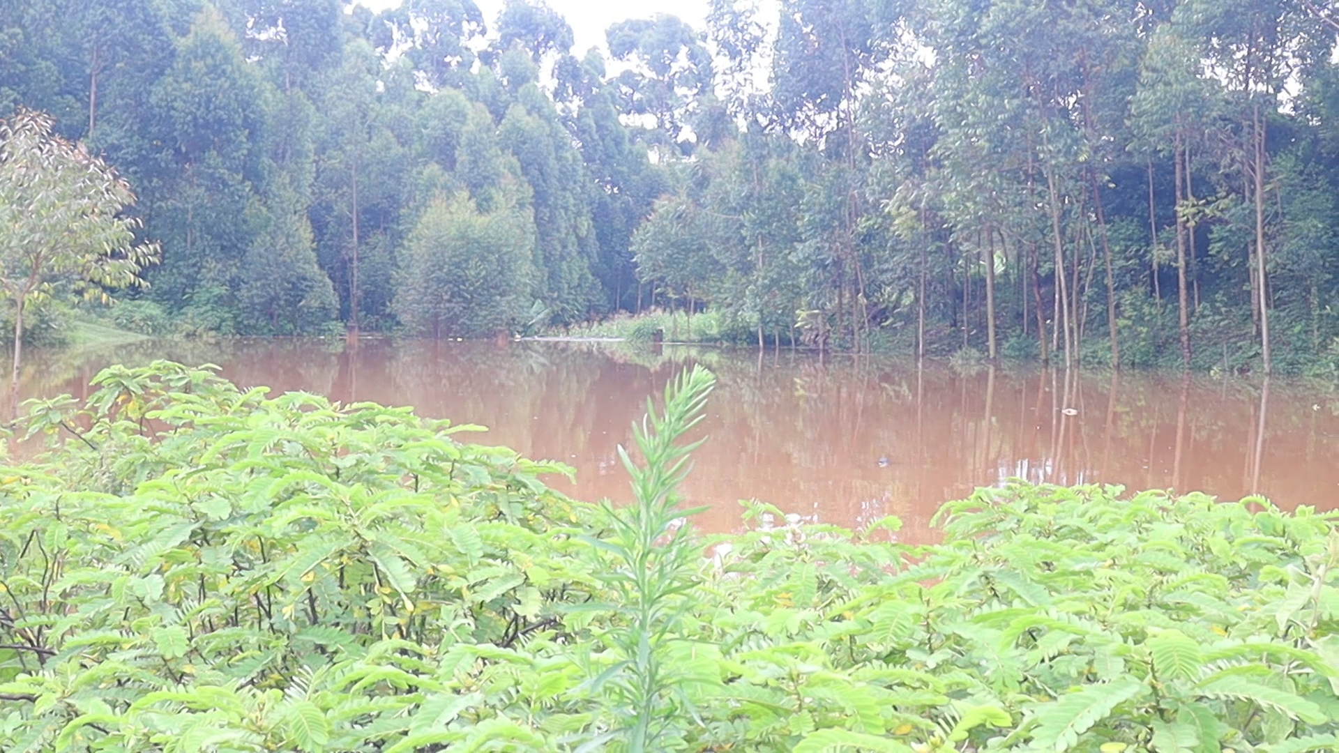 Mystery at Kaporuso: Community in Shock as Unknown Body Found Floating in Dam