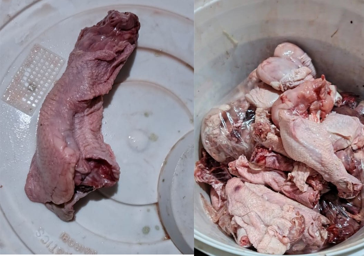 Some of the Flamingo meat napped in an operation today in Bomet town being prepared to be cooked at a hotel run by a women who was also arrested. Photo/file