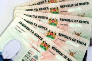 An image of Kenyan IDs. PHOTO/https://kenyanembassyberlin.de/kenyan-national-id//Website