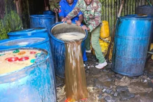 Police destroy 2,600 litres of kangara and 120 litres of chang’aa during a crackdown in Kahawa West, Nairobi. PHOTO/@NPSOfficial_KE